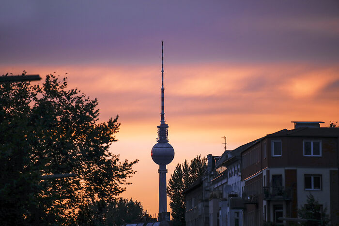 Berlin – The Wild Philosopher