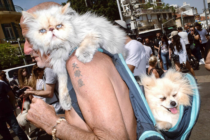 Man carrying two fluffy dogs outdoors in a candid everyday moment captured by photographer in Asia street scene.