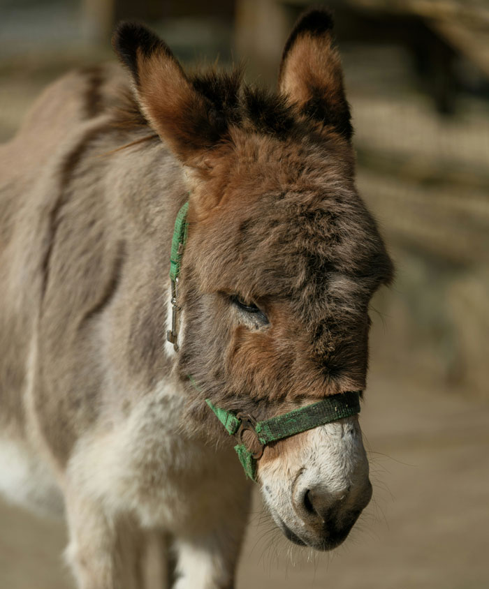 “We Regret Nothing”: 45 Totally Unnecessary But Hilarious Wedding Spends - 30