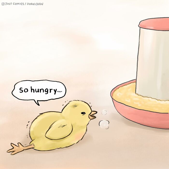 Comic depicting a sad chick with leg pain, highlighting the sad reality of many animals and their health issues.