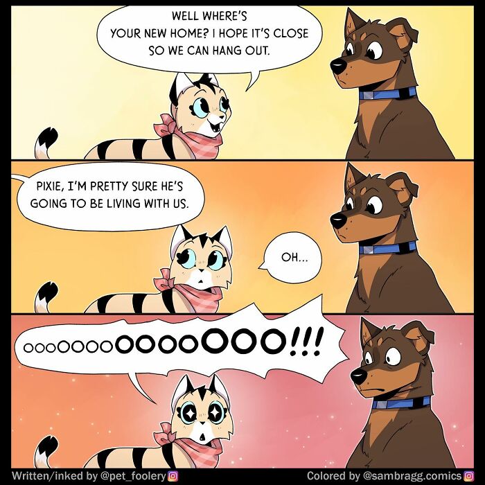 Comic scene from Pet Foolery showing a person with a wrapped present and pets reacting with curiosity and excitement.