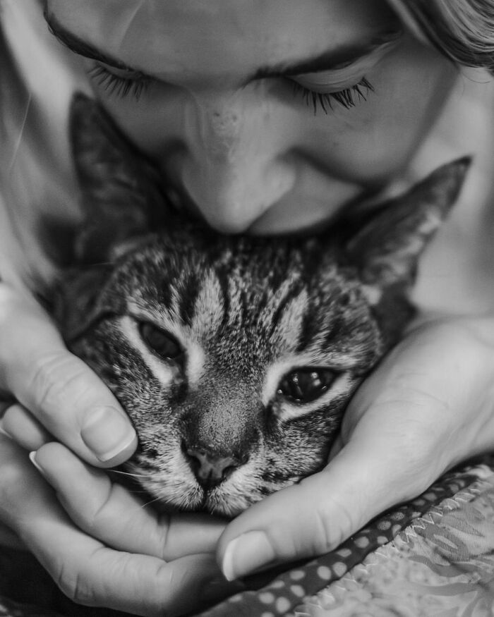 Woman in a sweater holding and comforting her cat, capturing touching final moments between pets and their humans.