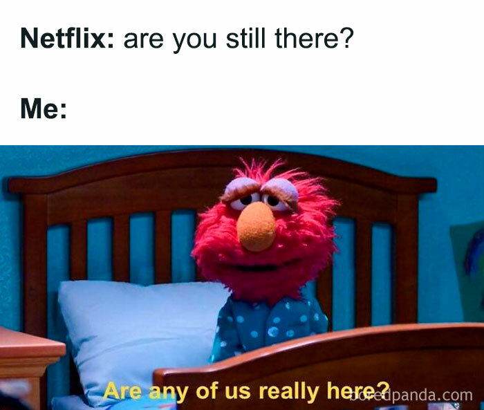 Relatable friendship meme featuring a tired puppet in bed replying to Netflix asking if they are still there.