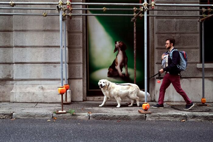 Man walking dog on a city sidewalk captured in an unseen, unposed street photography moment by a photographer.