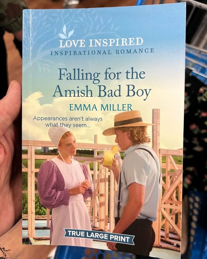 Book titled Falling for the Amish Bad Boy by Emma Miller featuring Amish characters, found at thrift stores.