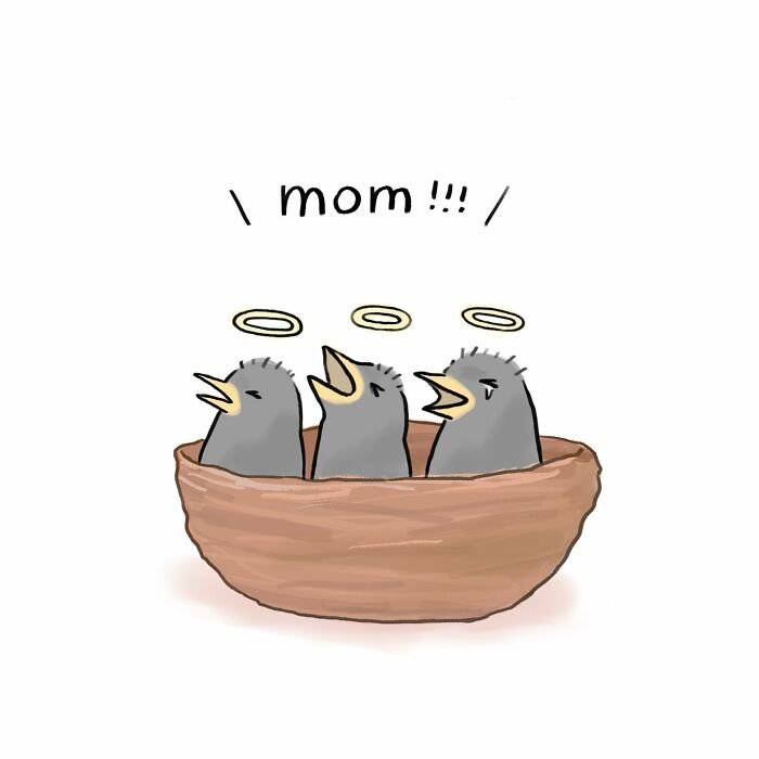 Illustration showing a bird on a branch and a cat watching from indoors, highlighting animal protection concerns.