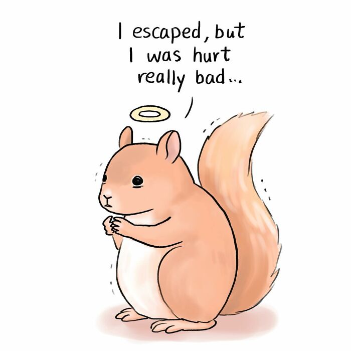 Illustration showing a bird on a branch and a cat watching from indoors, highlighting animal protection concerns.