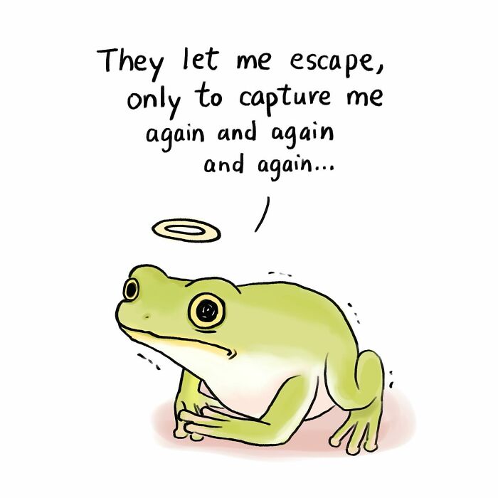 Illustration showing a bird on a branch and a cat watching from indoors, highlighting animal protection concerns.