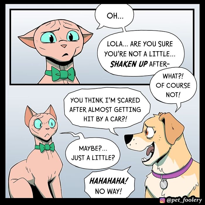 Cat relaxing in a peaceful yard with funny expression in a Pet Foolery comic strip about tranquility and suspicion.