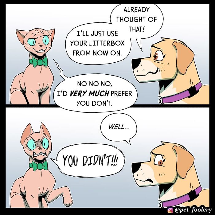 Cat relaxing in a peaceful yard with funny expression in a Pet Foolery comic strip about tranquility and suspicion.