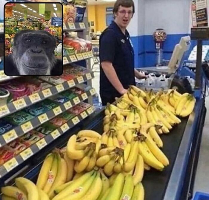 Man at grocery checkout with a large pile of bananas, alongside a close-up of a chimpanzee’s face, showcasing chaotic animal pics.
