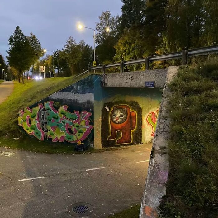 Graffiti art of a cat with a funny expression painted on a street wall captured in unusual feline photo collection.