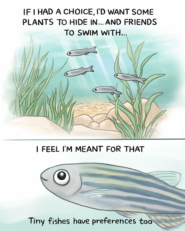 Comic art showing a fish preferring gravel in a tank, highlighting the sad reality of many animals on this planet.