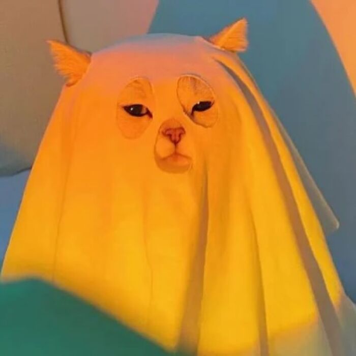 Minimalist doodle of a cat dressed as a ghost, created by artist turning viral cat pics into spot-on doodles.