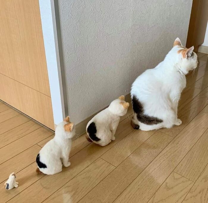 Four cat figurines and one real cat with similar markings lined up on a wooden floor showing hilarious cat moments.