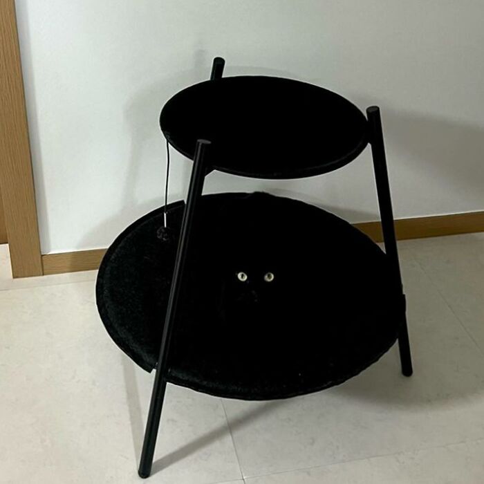 Minimalist doodle of a black cat hiding under a chair, inspired by viral cat pics turned into spot-on artwork.