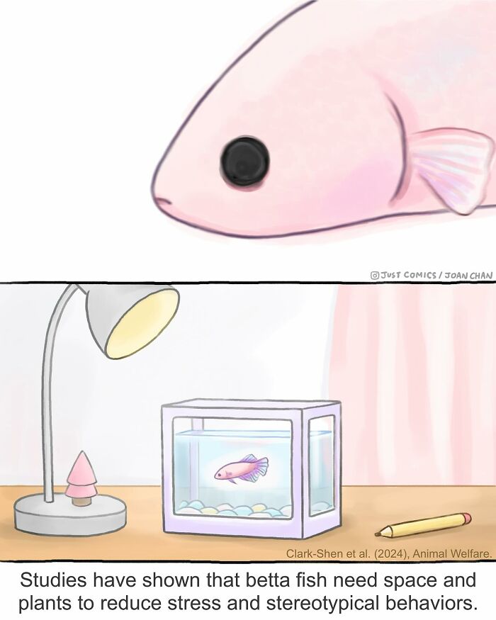 Illustration showing a small fish in a jar highlighting the sad reality of many animals confined in tiny spaces.
