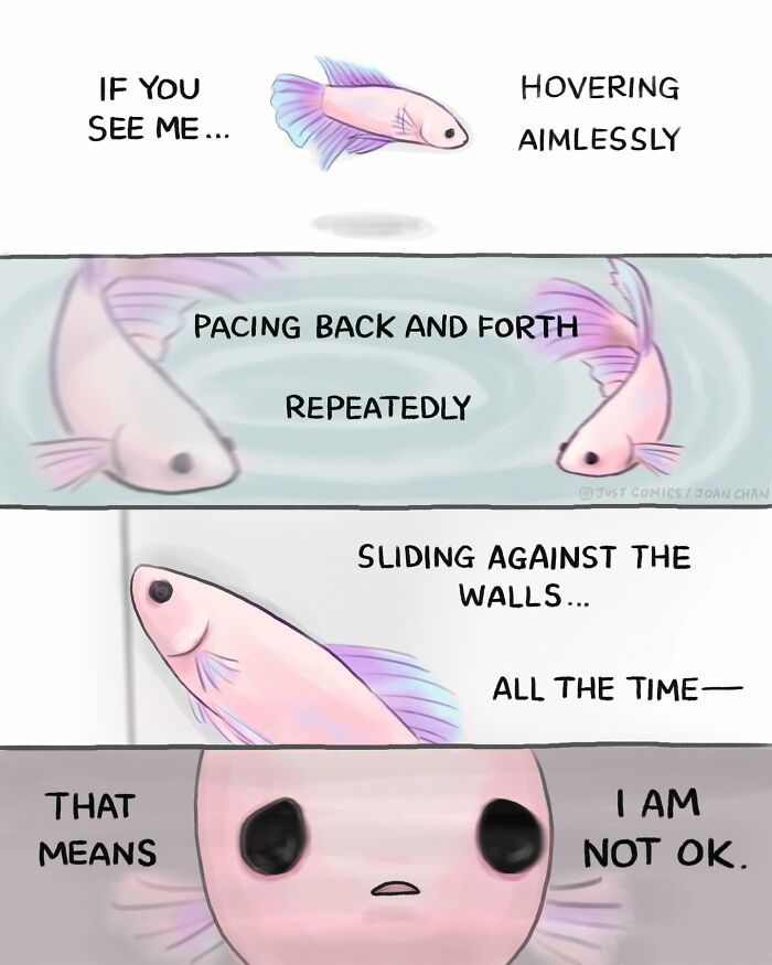 Illustration showing a small fish in a jar highlighting the sad reality of many animals confined in tiny spaces.