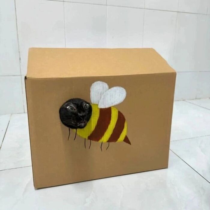 Minimalist doodle of a bee with a black cat head, part of viral cat pics turned into funny artist illustrations.
