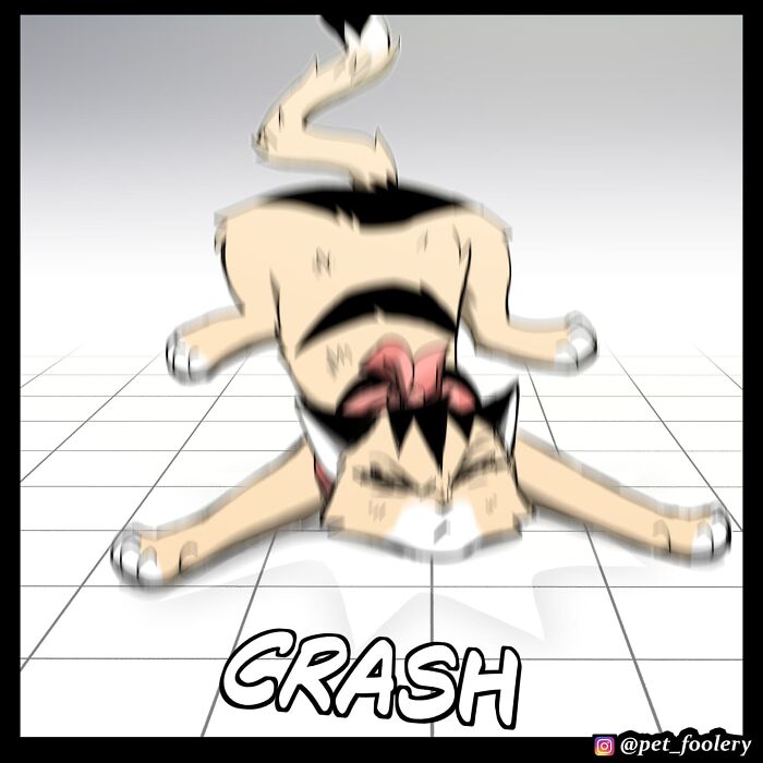 Dark comic panels show a cat and dog discussing visibility and night vision in a humorous pet foolery comic style.