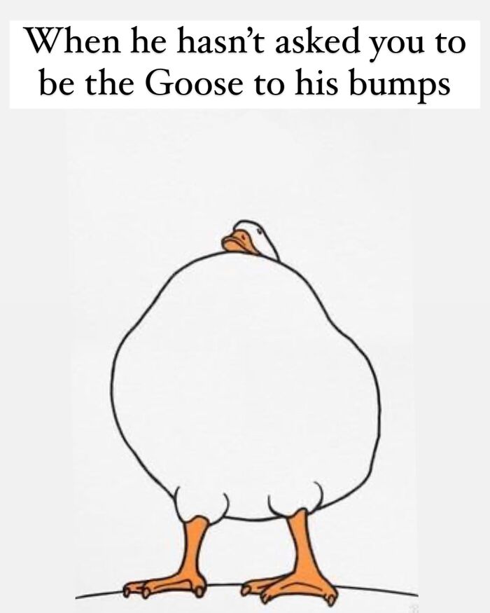 Cartoon goose with a large round body under text about not being asked to be the goose to his bumps, parent memes concept.