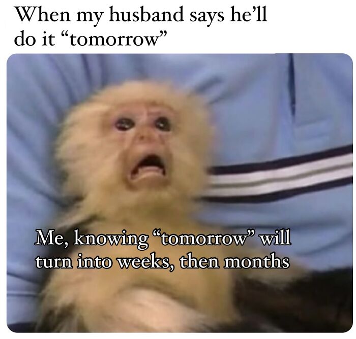 Monkey making a shocked face representing a cool mom's reaction to parenting delays and broken promises from her husband.