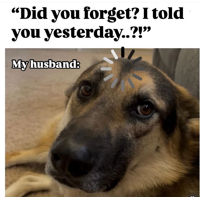 Dog with a loading symbol on its head representing a husband forgetting, funny parent meme about being a cool mom.