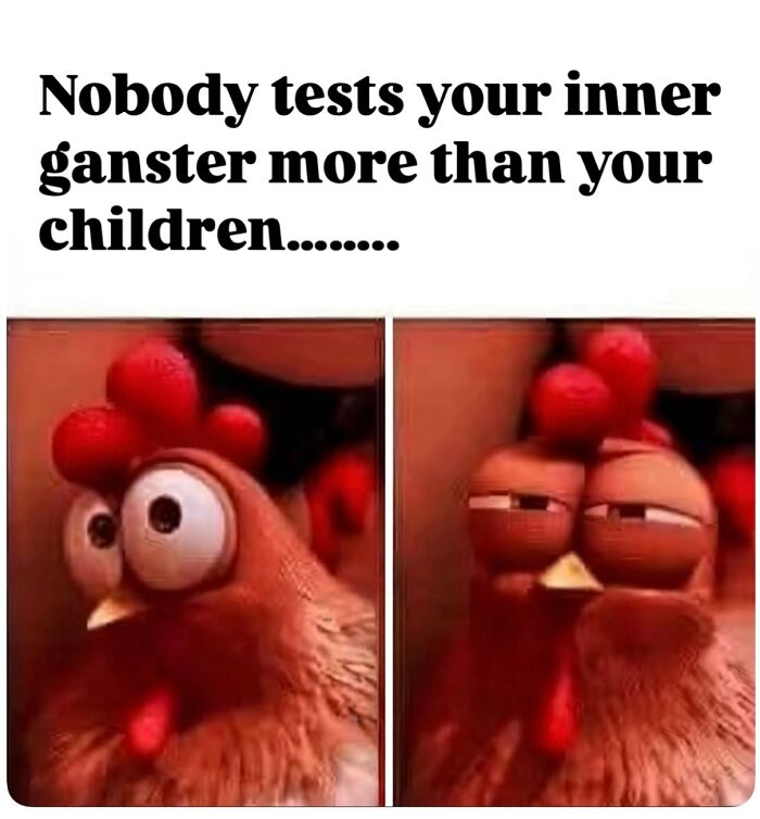 Meme showing a chicken with wide eyes and then narrowed eyes with text about children testing your inner gangster.