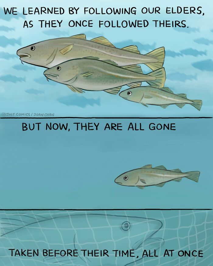 Illustration of fish swimming with text reflecting on the complicated path animals face, highlighting animal realities comic.