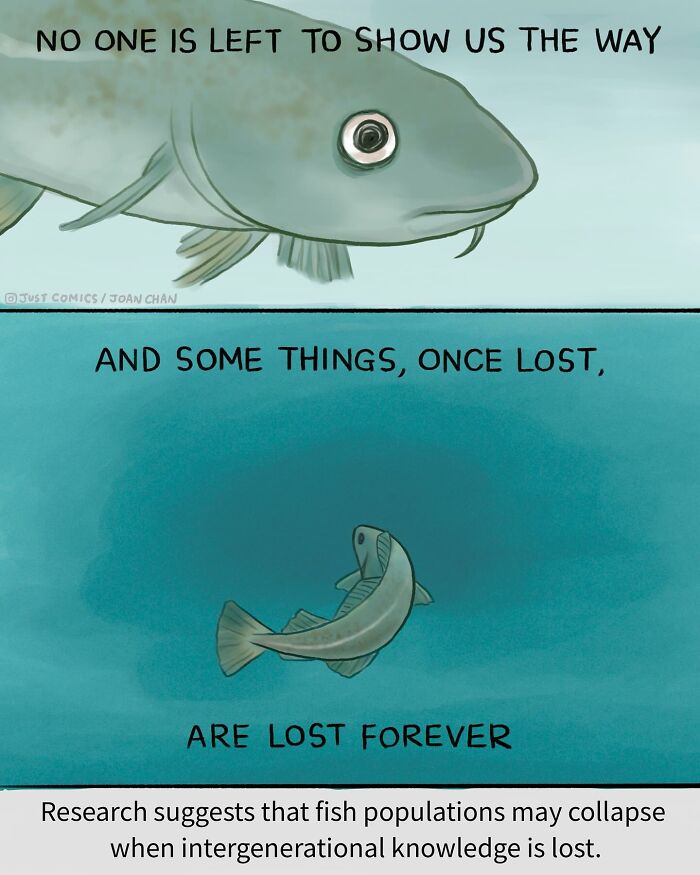 Illustration of fish swimming with text reflecting on the complicated path animals face, highlighting animal realities comic.