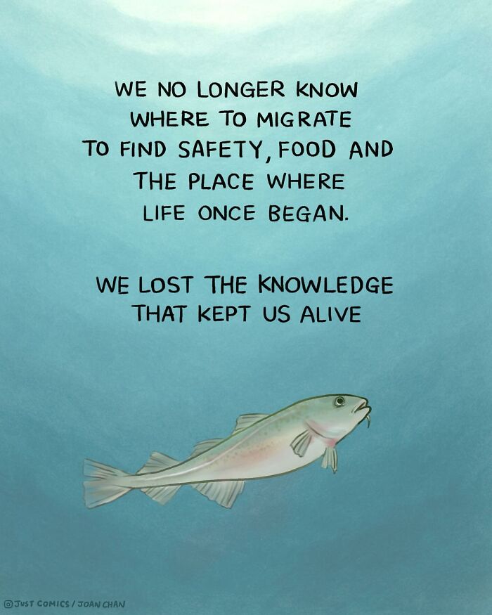 Illustration of fish swimming with text reflecting on the complicated path animals face, highlighting animal realities comic.