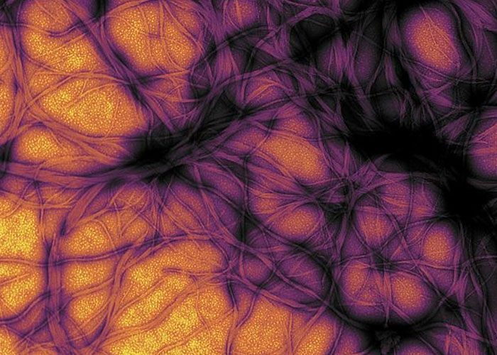 50 Unsettling Facts To Think About When You Won't Be Able To Fall Asleep At 3 A.M.