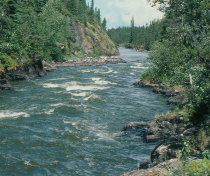 River flowing through dense forest and rocky banks, illustrating the risks of lone hiking trips in remote wilderness areas