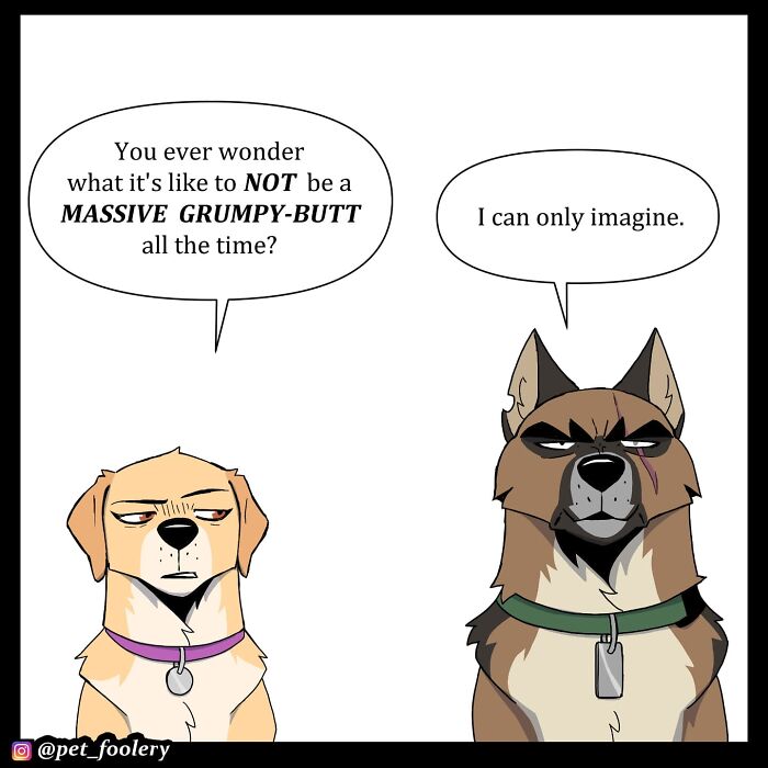 Two dogs in a backyard comic from Pet Foolery, humorously discussing what it's like to be a bat using echo location.