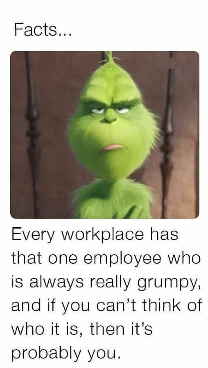 Grumpy Grinch meme illustrating relatable work memes about employees in every workplace, perfect for those ready to retire.
