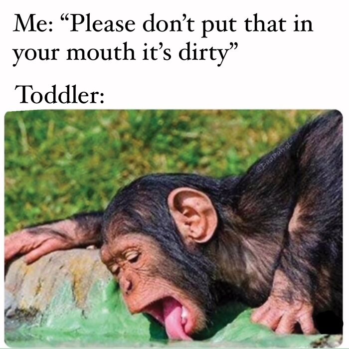 Toddler ignoring mom's warning and licking a surface, humorously capturing what it's like being a cool mom with toddlers.