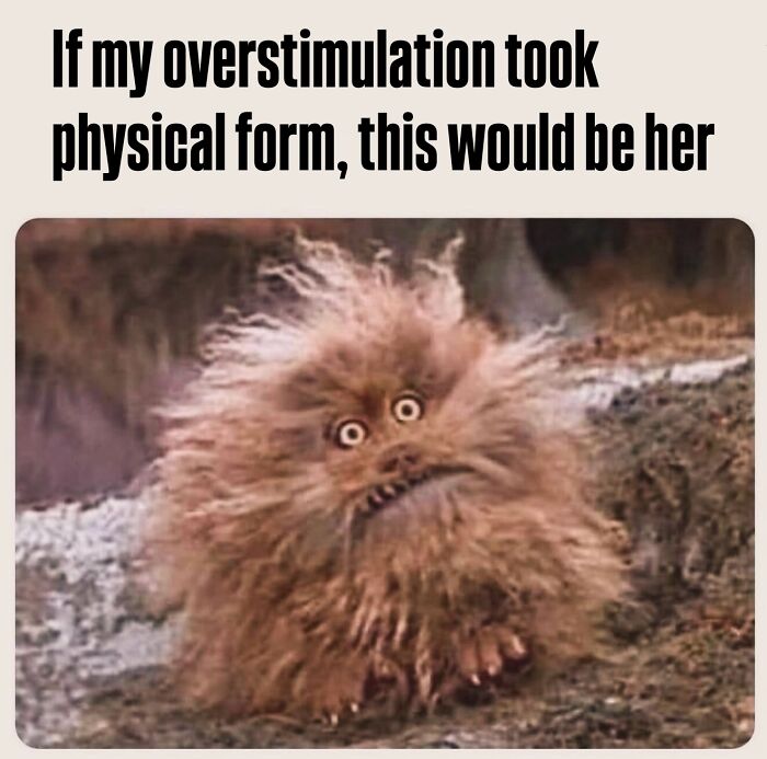 Funny meme showing a wild, frazzled creature representing parental overstimulation in cool mom memes.