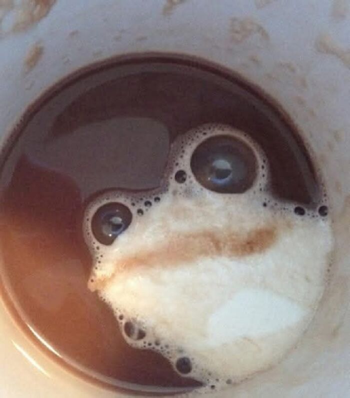 Coffee foam and bubbles in a cup resembling a frog face, a random object that looks like a face shared by Facebook group members.