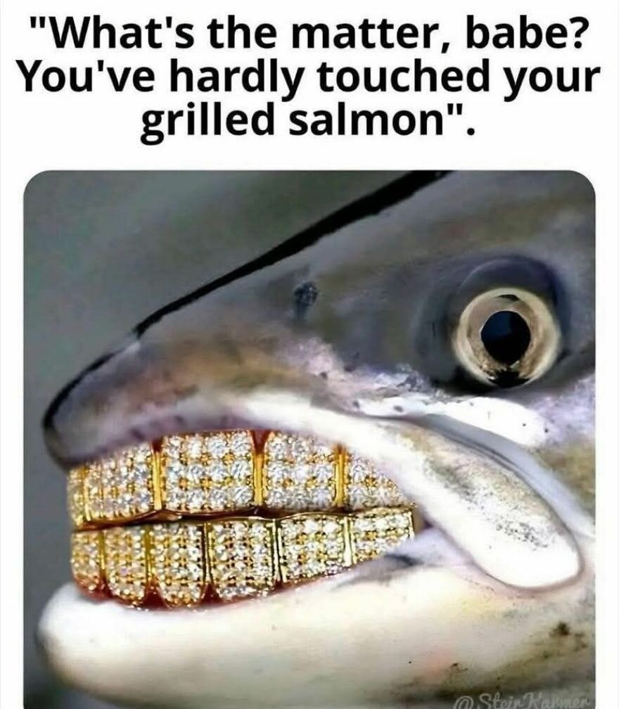 Close-up of a fish with diamond-studded gold grill teeth in a funny and cute animal meme.