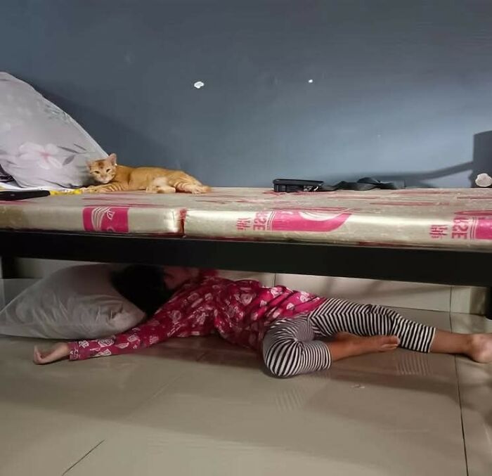 Orange cat resting on a bed above a child lying on the floor, showcasing hilarious cat moments and cats ruling the internet.