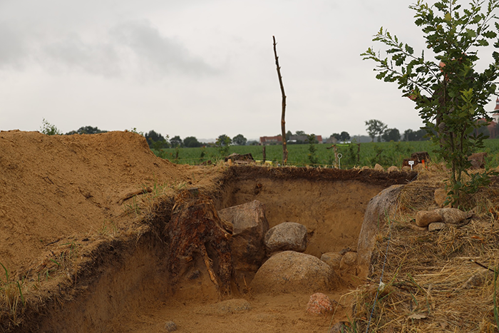 Archaeological excavation of ancient pyramids in Poland, showing earth layers and large stones under cloudy sky. Archaeological excavation of ancient pyramids in Poland, showing earth layers and large stones under cloudy sky.