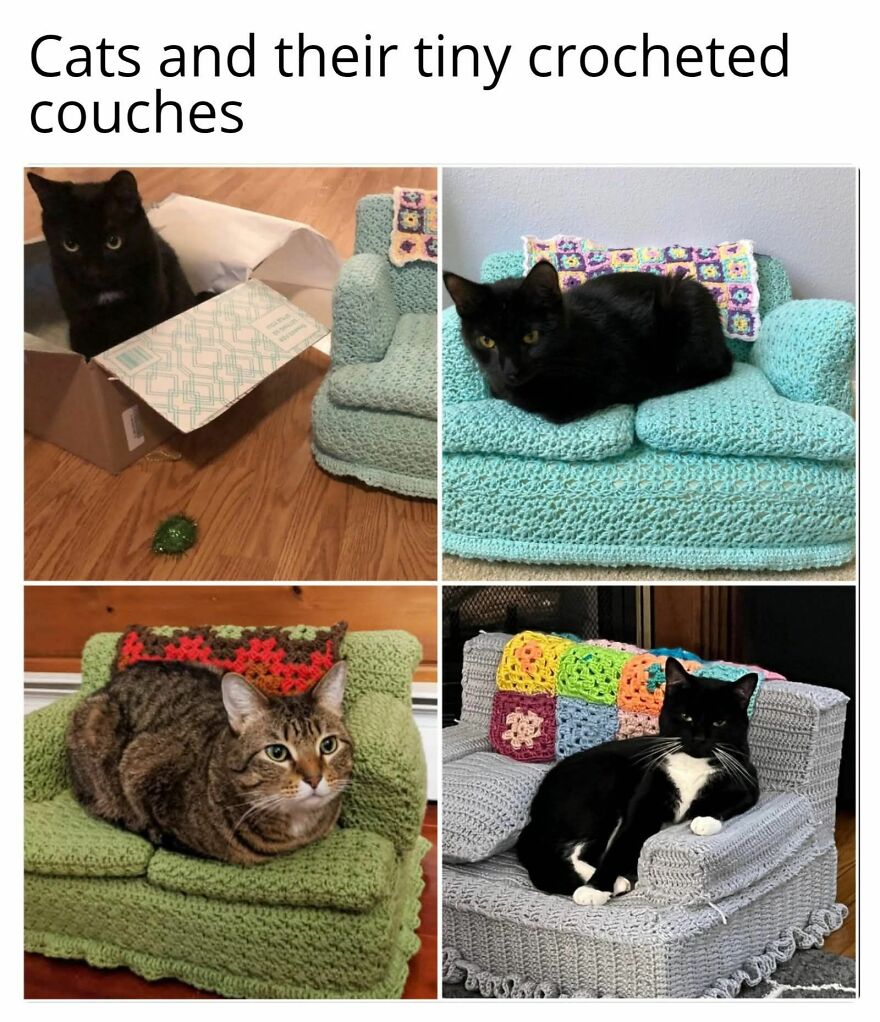 Four cats sitting on tiny crocheted couches, showcasing funny and cute animal memes that might give you a reason to smile today.