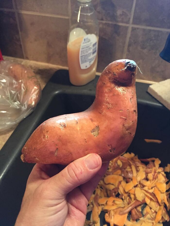 Hand holding a sweet potato shaped like a bird’s face, an example of objects that look like faces in this Facebook group.