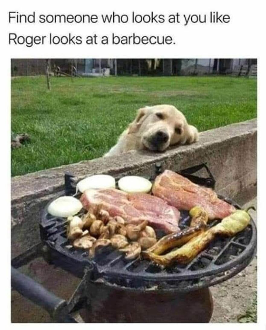 Dog resting its head near a barbecue grill with meat and vegetables, showcasing a funny and cute animal meme moment.