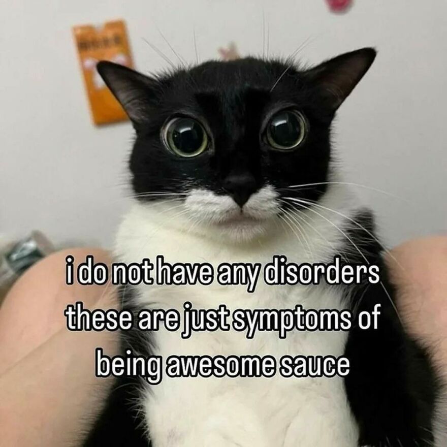 Black and white cat with wide eyes and funny meme text about being awesome, cute animal memes to make you smile.