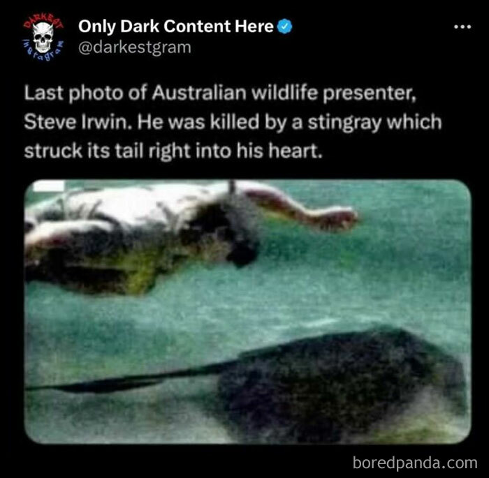 Instagram post from darkest page showing a stingray and a man underwater with a creepy story.