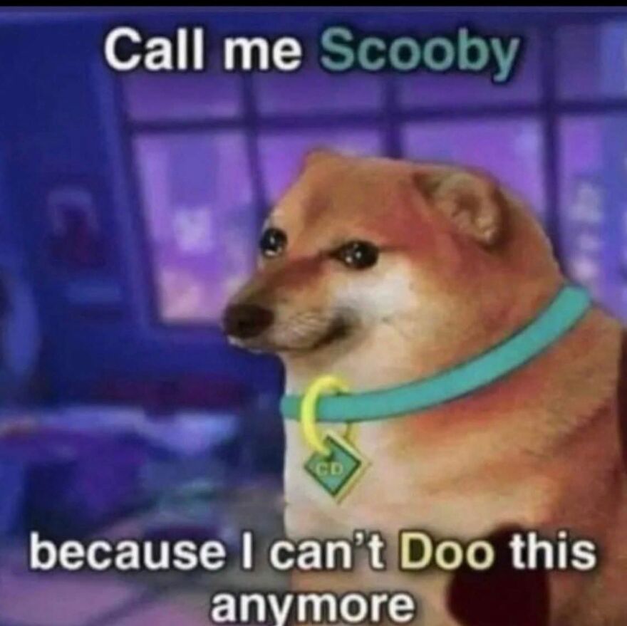 Shiba Inu dog wearing a green collar with a Scooby-Doo tag in a funny and cute animal meme.