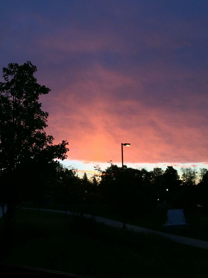 Sunset sky with dark trees and a single streetlamp glowing, illustrating glitches in the matrix in a natural setting.