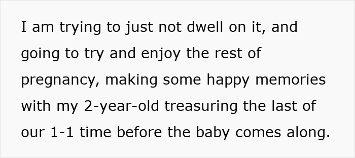 Text about a guy telling his pregnant wife he will go with the 2-year-old after she refuses a postpartum trip.