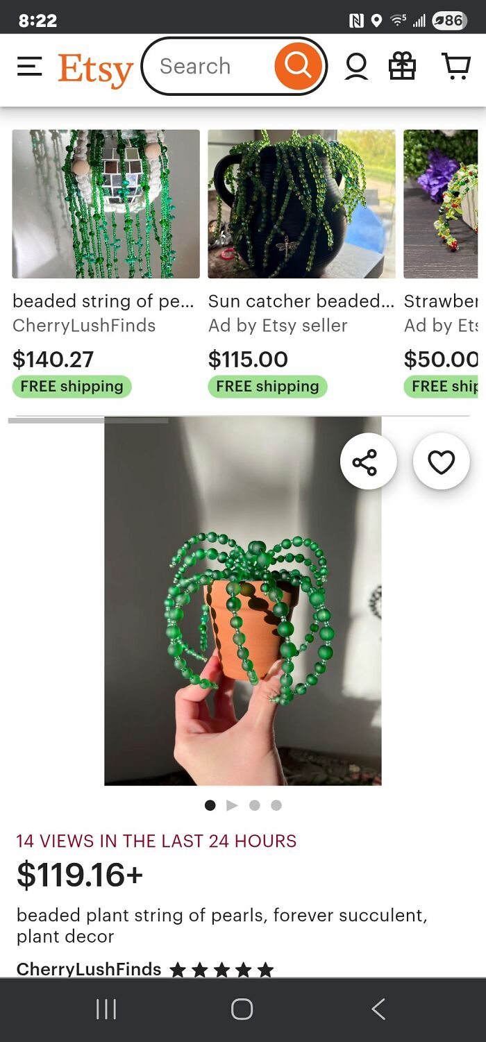 Hand holding a beaded plant string of pearls in a small terracotta pot, showcasing craft shaming DIY project decor.